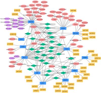 Systematic review of gastric cancer-associated genetic variants, gene-based meta-analysis, and gene-level functional analysis to identify candidate genes for drug development